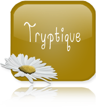 bouton-tryptiques