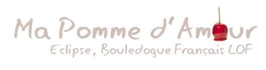 logo-pomme